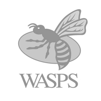 london-wasps-rfu